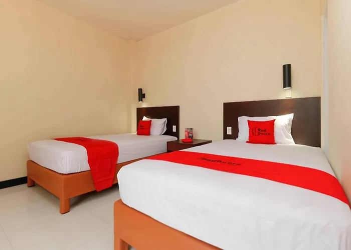 Reddoorz Plus Near Halim Perdanakusuma 2 Jakarta